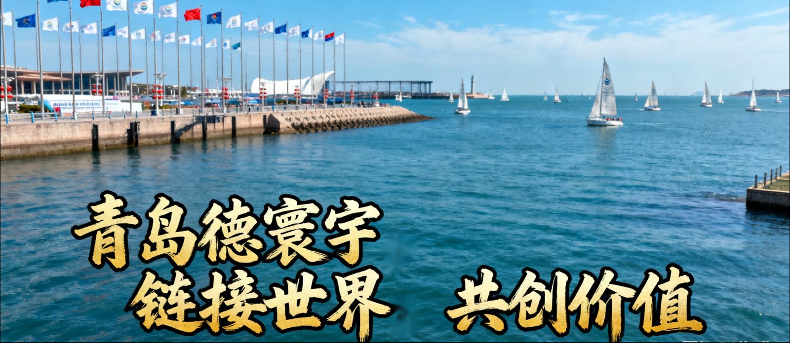 青岛德寰宇 — 链接世界 · 共创价值